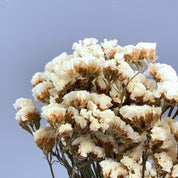 Natural Dried Statice Flower Bunch