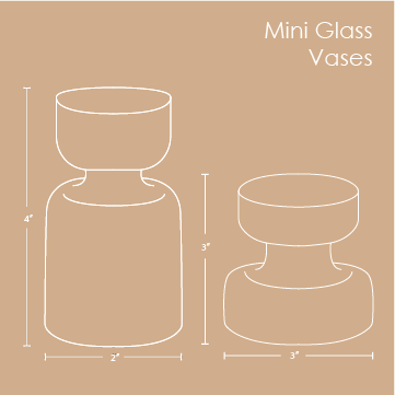 Mini Glass Vases