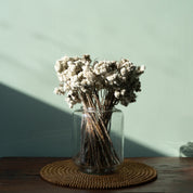 Natural Dried Daisy Flower Bunch