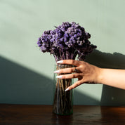 Natural Dried Daisy Flower Bunch