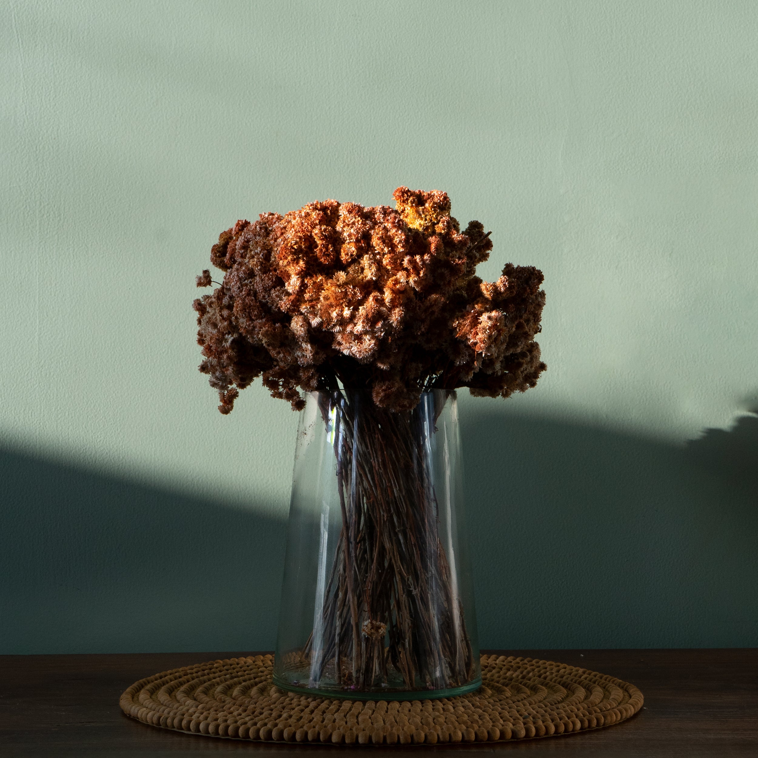 Natural Dried Daisy Flower Bunch